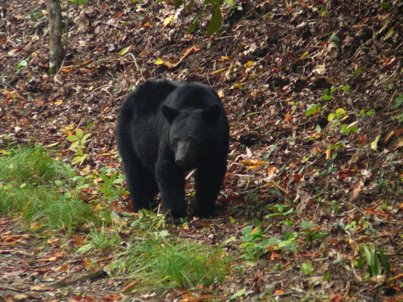 image08